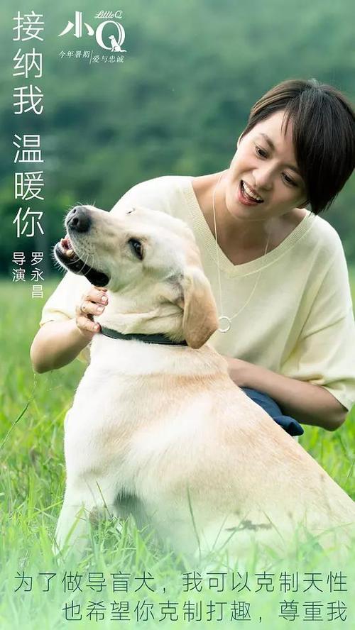 怎么购买日本東京情報大學成绩单